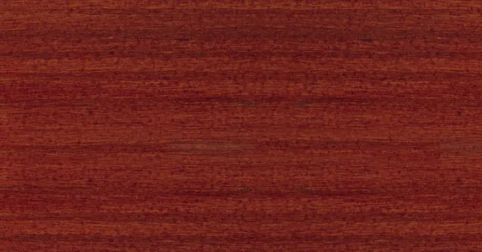 Teak RC 545